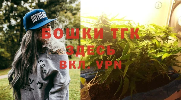 PSILOCYBIN Билибино