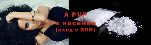 сатива Горно-Алтайск