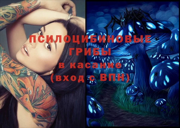 сатива Горно-Алтайск