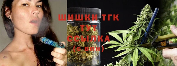 сатива Горно-Алтайск