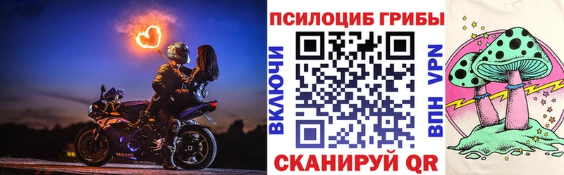 что такое наркотик Егорьевск Псилоцибиновые грибы прущие грибы