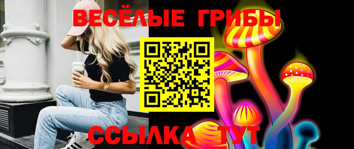 Галлюциногенные грибы Magic Shrooms Егорьевск